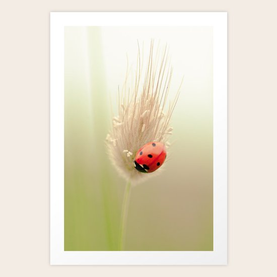 Upside down Art Print