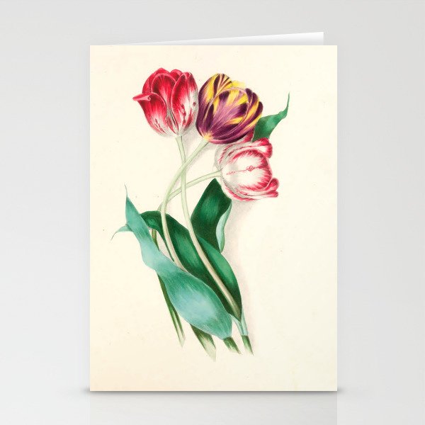 Tulips by Clarissa Munger Badger, "Floral Belles," 1866 (benefitting The Nature Conservancy) Stationery Cards