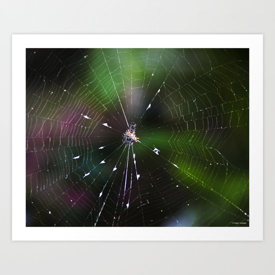Come Into My Web Art Print