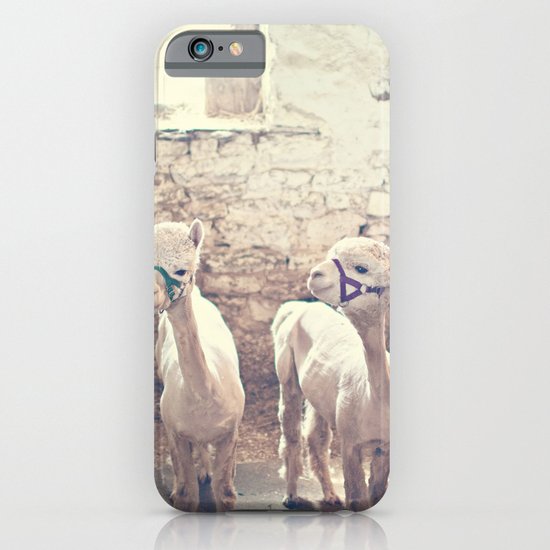 Young Alpacas iPhone & iPod Case