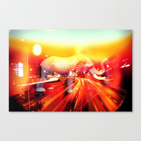 Elephant on the highway. Canvas Print