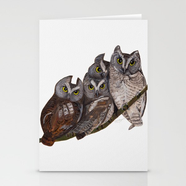 Baby Eastern Screech-owls Stationery Cards