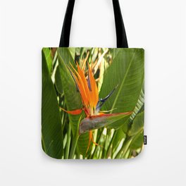 Bird Of Paradise Tote Bag