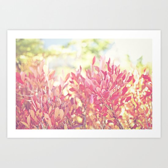 Burst of Red Art Print