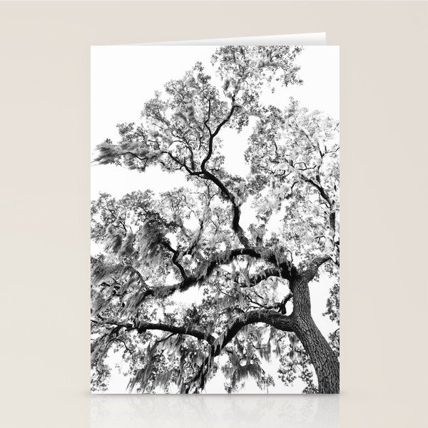 Savannah Spanish Moss VIII Stationery Cards by Bethany Young