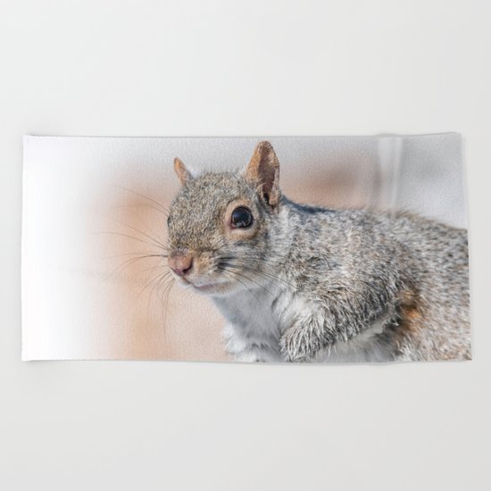 Wet paw Squirrel Beach Towel