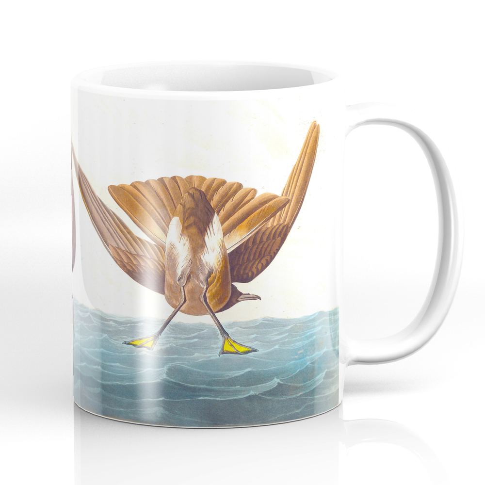 Stormy Petrel Bird Mug by enshape
