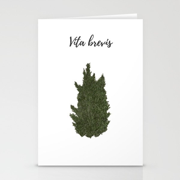 Life is short: vita brevis Stationery Cards