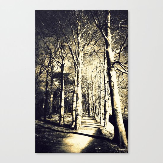 Awakening Light Canvas Print