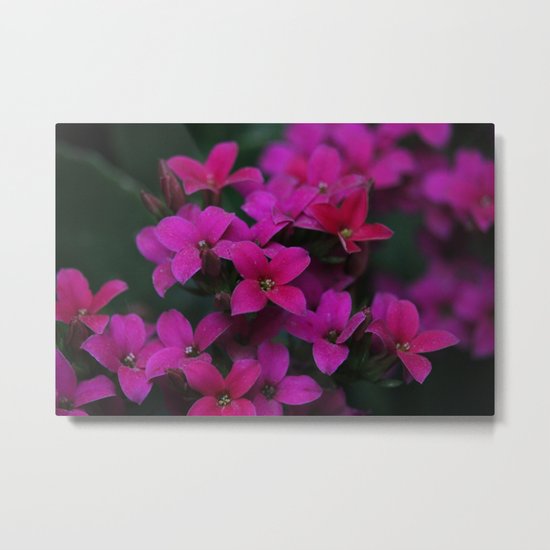 Serenity Metal Print