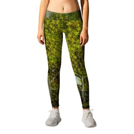 Part of the green path Leggings