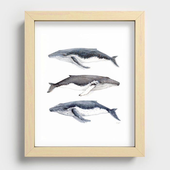 Humpback whales Recessed Framed Print