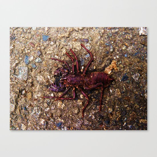 Bye Bye Canvas Print