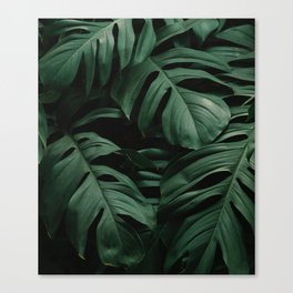 Tranquility in Nature Canvas Print