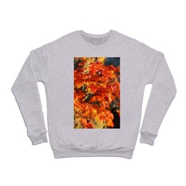Autumn Colors 5 Crewneck Sweatshirt
