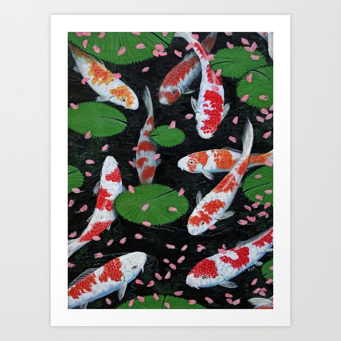 Koi With Fallen Cherry Blossom Art Print