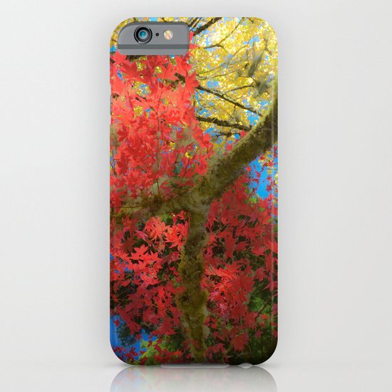 Fall Colors at Crescent Lake Lodge, 2 iPhone & iPod Case