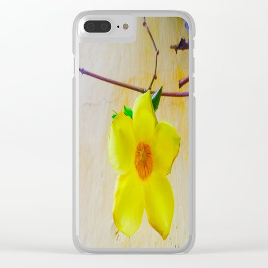 What I Found in Cartegena & Bogota Colombia is Precious Clear iPhone Case