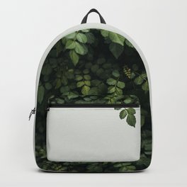 Growth Backpack