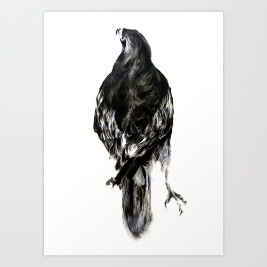 Hawk Art Print