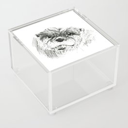 Friendly Otter Acrylic Box