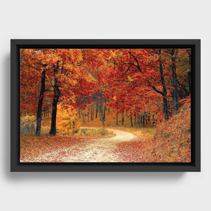 Autumn Road Framed Canvas