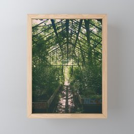 Abandoned Greenhouse Framed Mini Art Print