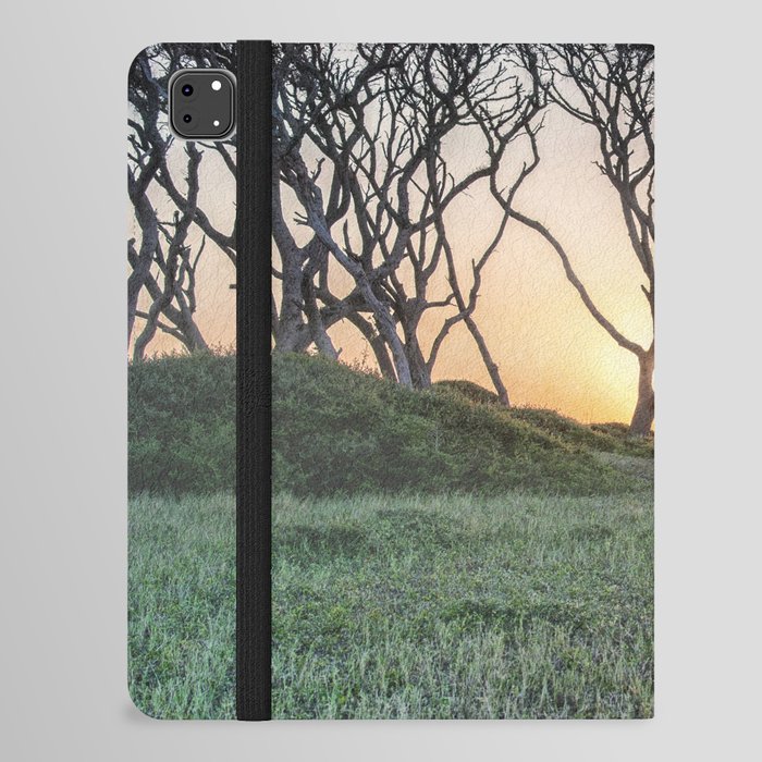 Barrier Island Sunrise II iPad Folio Case