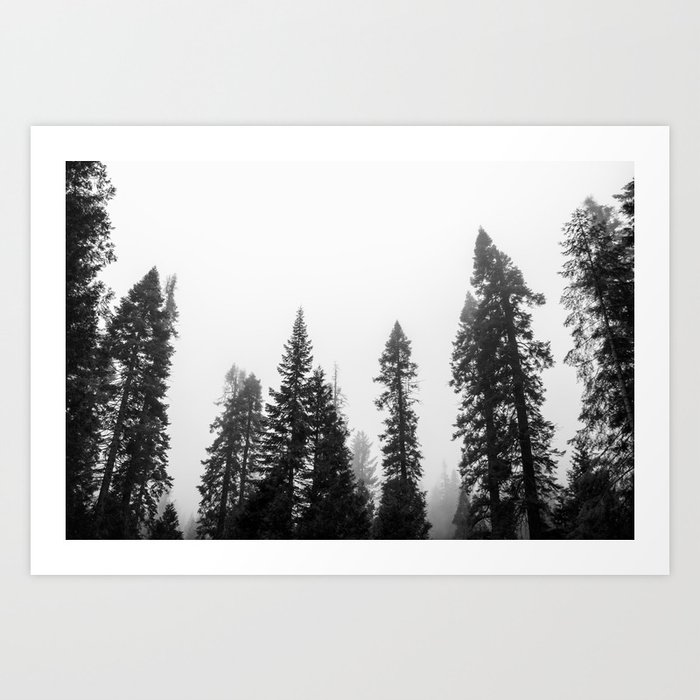 Deep in the Forest of Yosemite Art Print