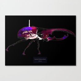 Dynastes Wirelessus Beetle Canvas Print