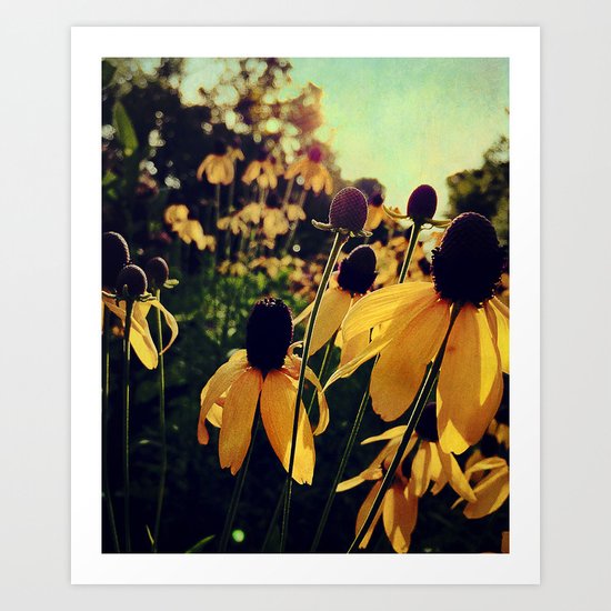 On the Edge of Summer Art Print