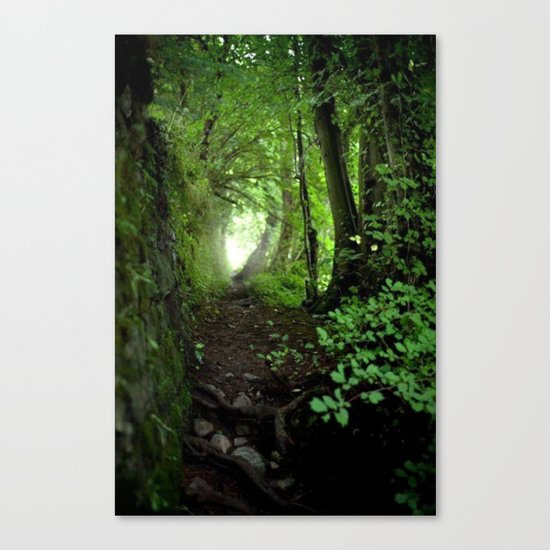 black forest 2 Canvas Print