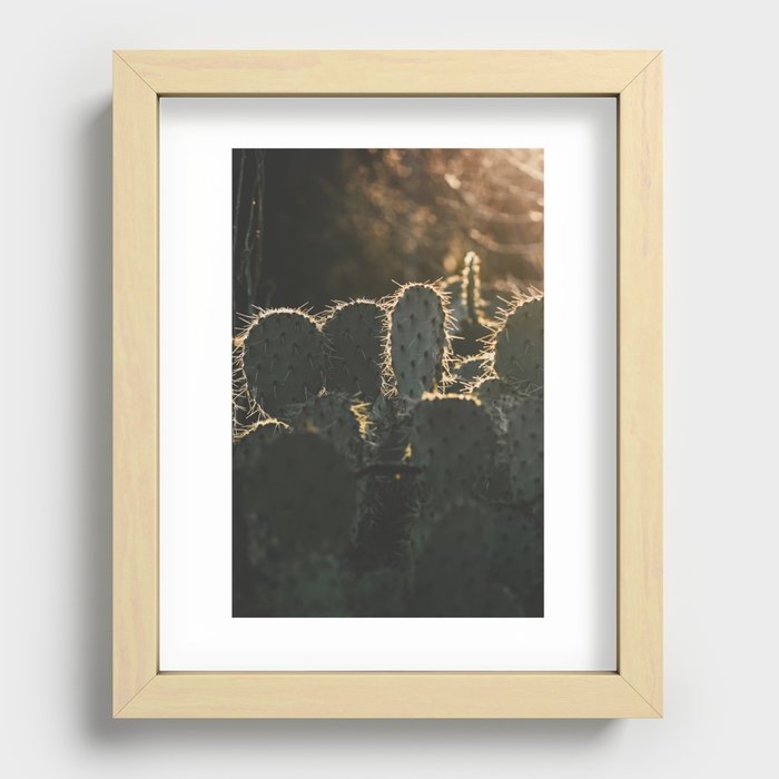 Golden Hour Cactus  Recessed Framed Print