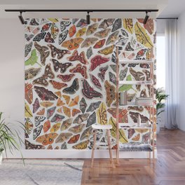Saturniid Moths of North America Pattern Wall Mural