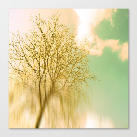 Impermanence Canvas Print