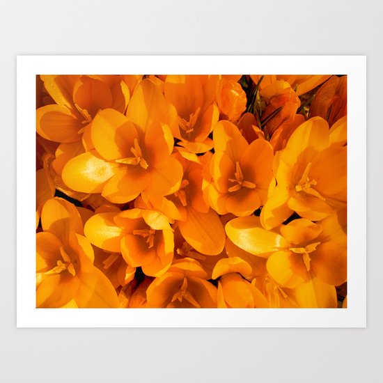 Gold in the garden Art Print