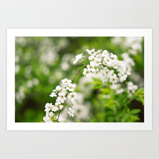 Snow Willow Art Print