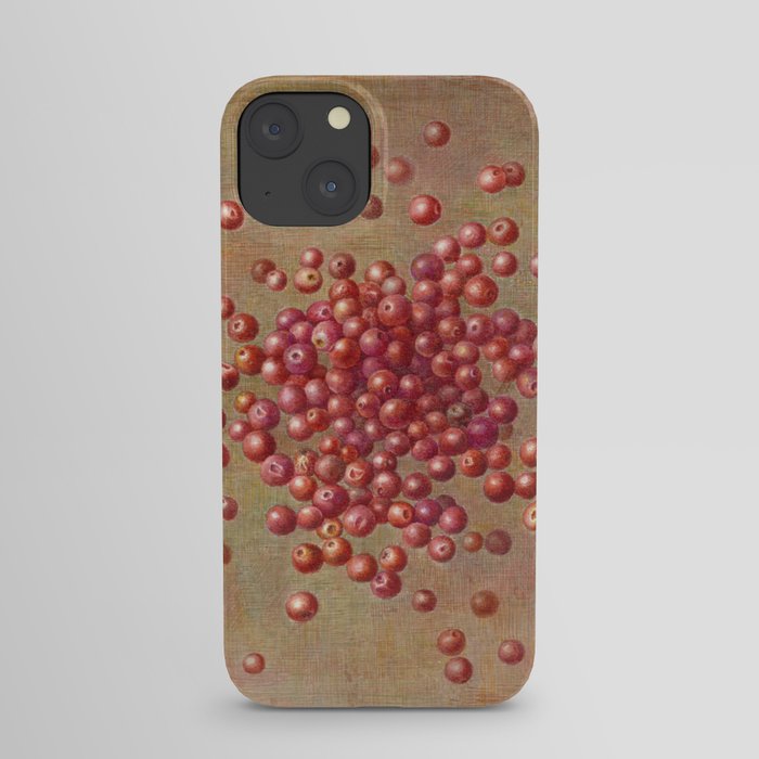 CRANBERRIES iPhone Case