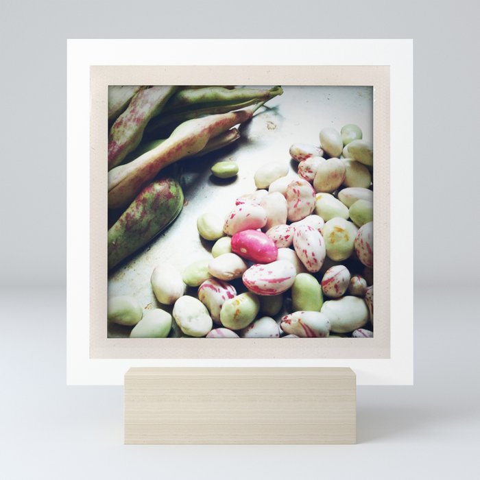 Colorful pile of Organic Beans -- Great for your kitchen! Retro photo shows off nature's bounty :-) Mini Art Print