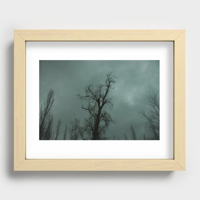 Fauno Recessed Framed Print