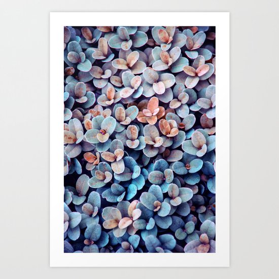 moitos Art Print