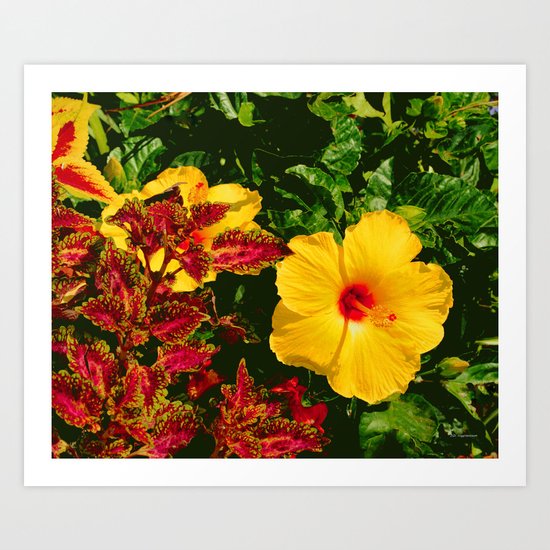 Hibiscus and Coleus Art Print