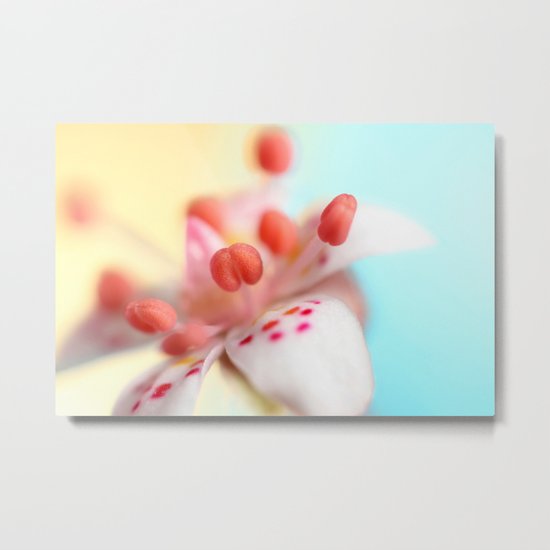 8mm Metal Print