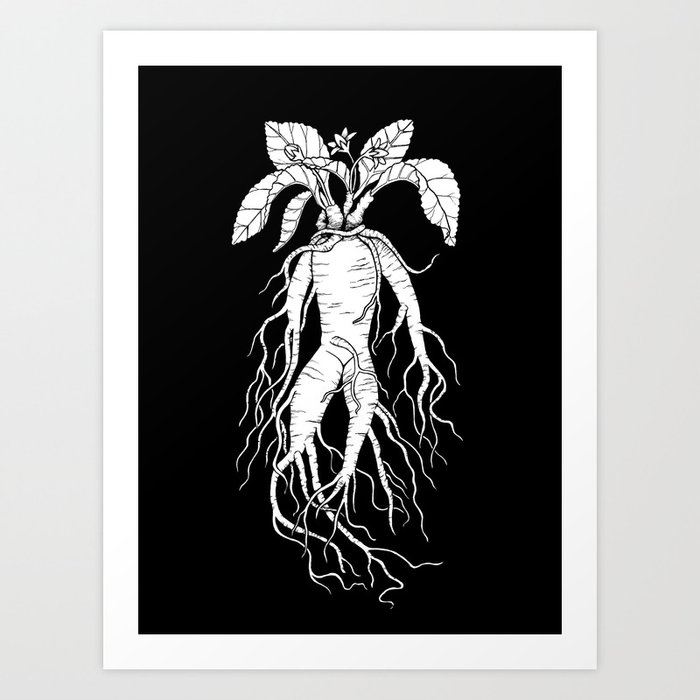 Mandrake Root Art Print