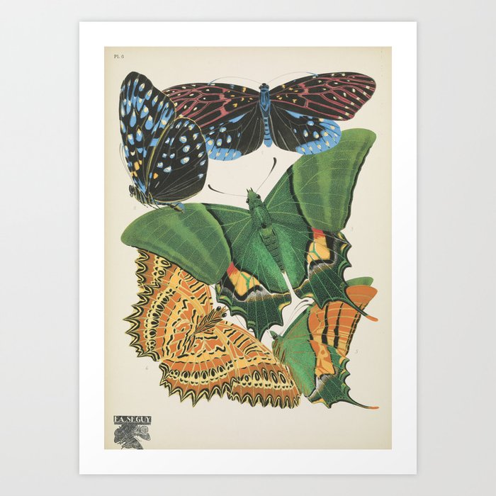 Butterfly and Moth Print by E.A. Seguy, 1920s #15 Art Print