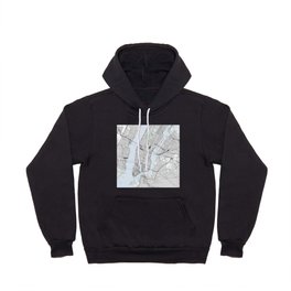 New York Street Map in Color Hoody