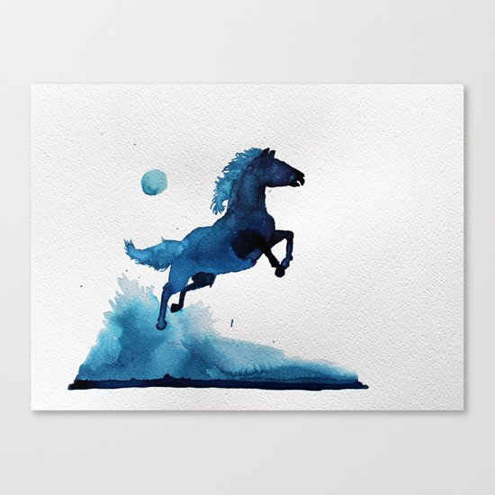 Equus ferus caballus Canvas Print