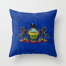 Flag of Pennsylvania US State Flags Keystone State Symbol Banner Standard Colors Throw Pillow