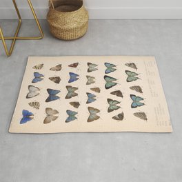 Vintage Hand Drawn Scientific Illustration Insects Butterfly Anatomy Colorful Wings Rug
