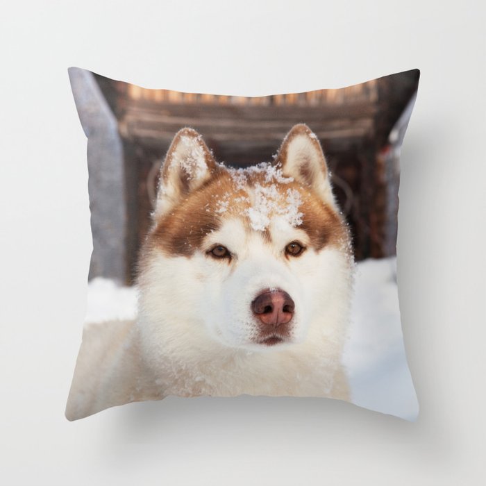 Ginger in the snow Throw Pillow